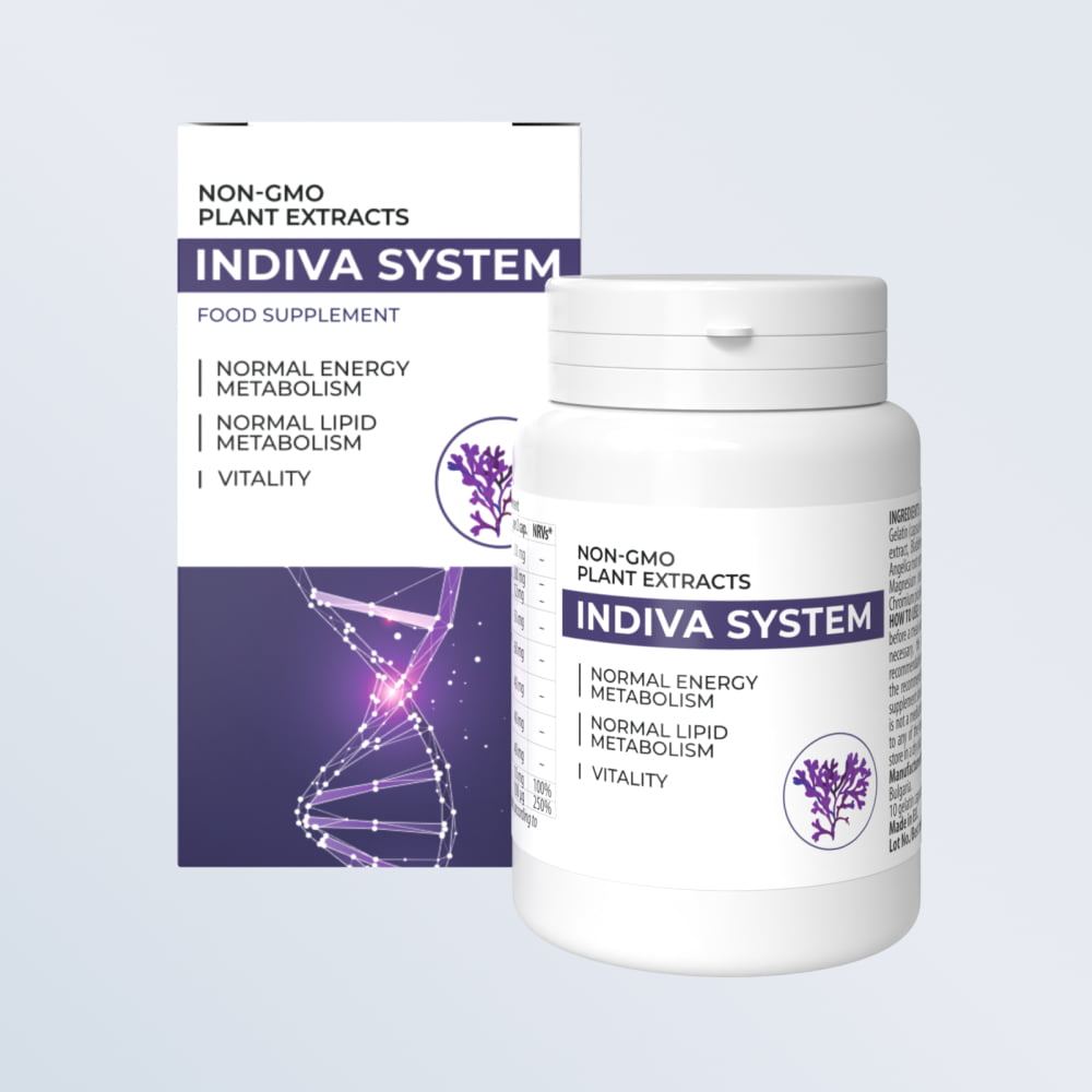 Indiva System Colombia